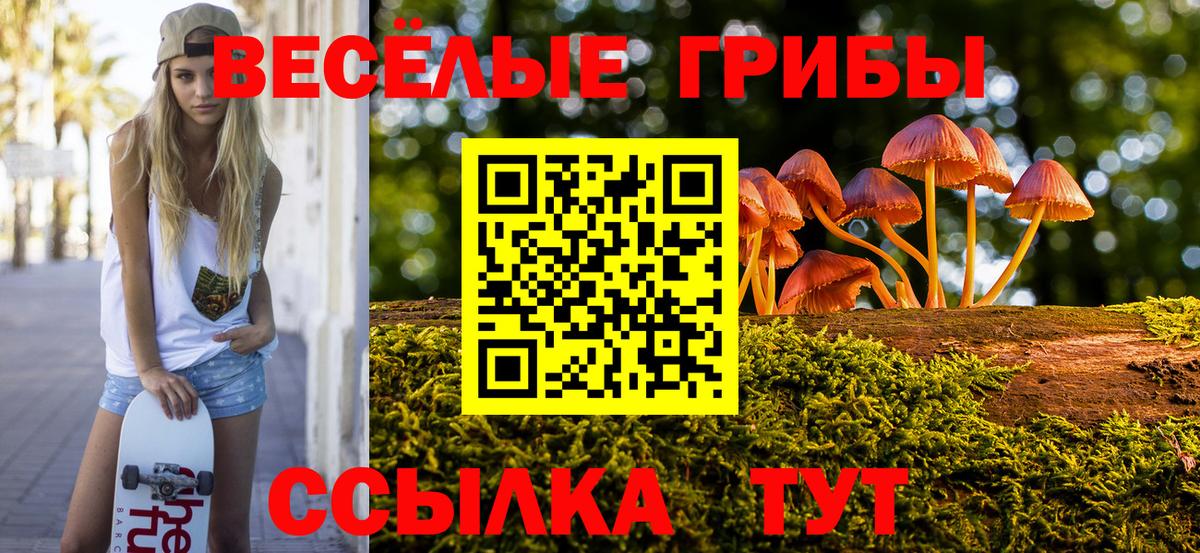 Галлюциногенные грибы мухоморы  Вход с VPN  Краснознаменск  Псилоцибиновые грибы Magic Shrooms 